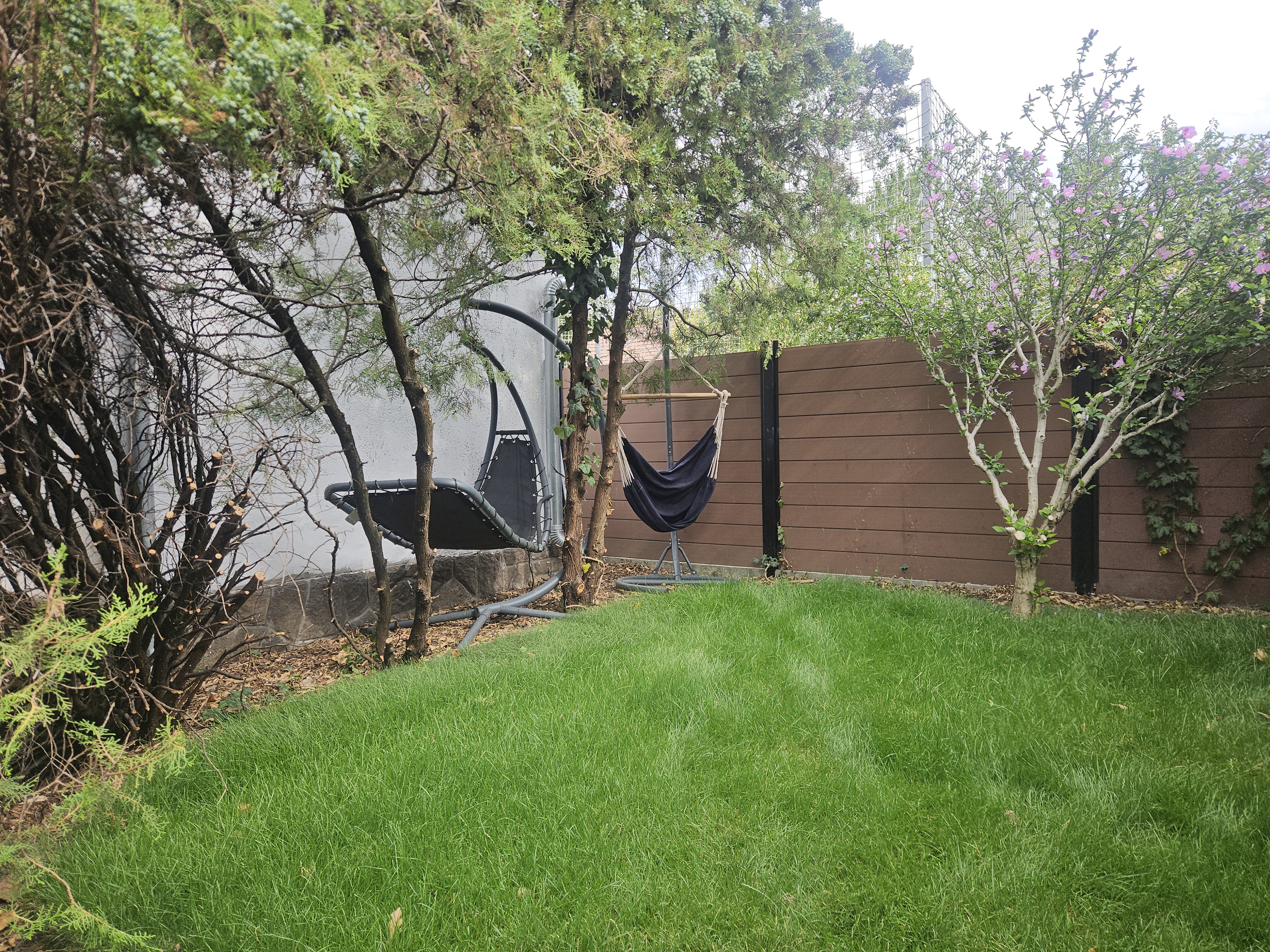 Lush private garden with hammock