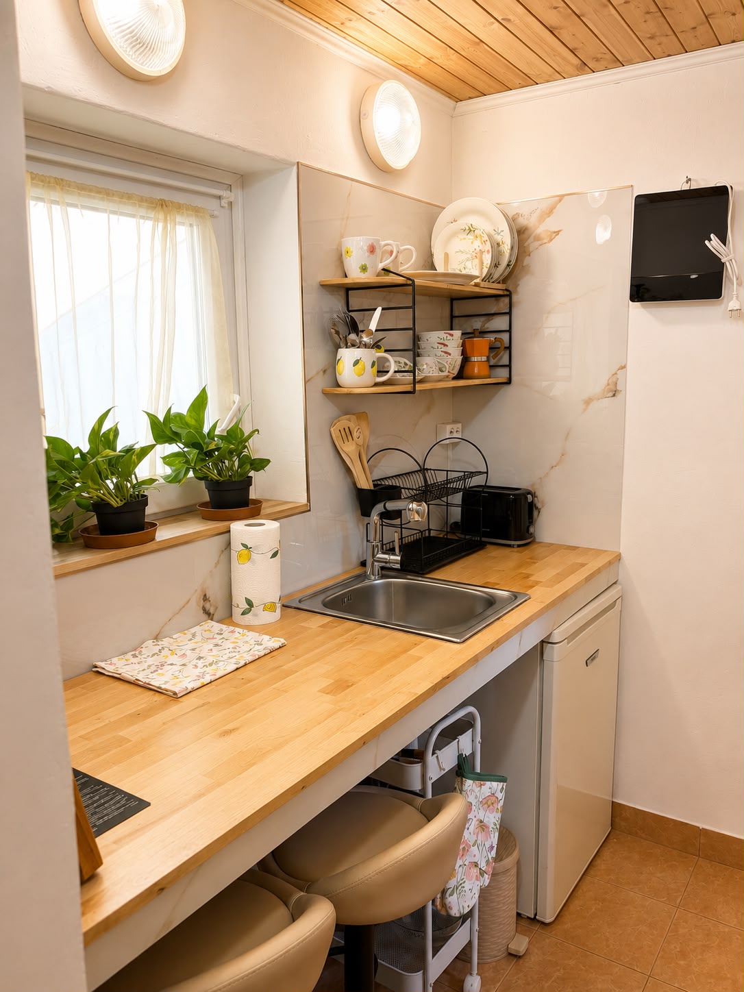 Kitchen with plants and shelves